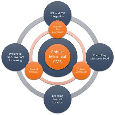 Editorial: Continuous Biomanufacturing in Microbial Systems